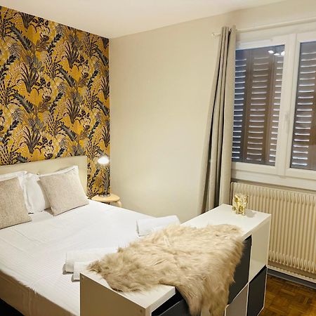 Grand Appartement Bron Centre Proche Eurexpo Et Groupama Kültér fotó
