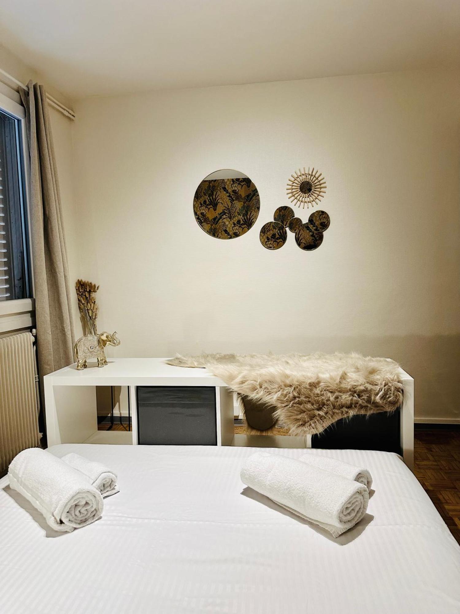 Grand Appartement Bron Centre Proche Eurexpo Et Groupama Kültér fotó